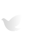 必赢·网络游戏平台-(中国游)有限公司